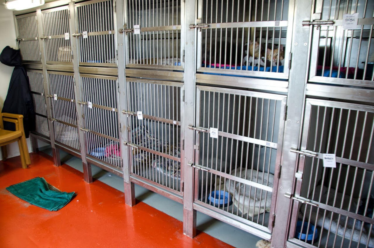 Kennels on the QM2