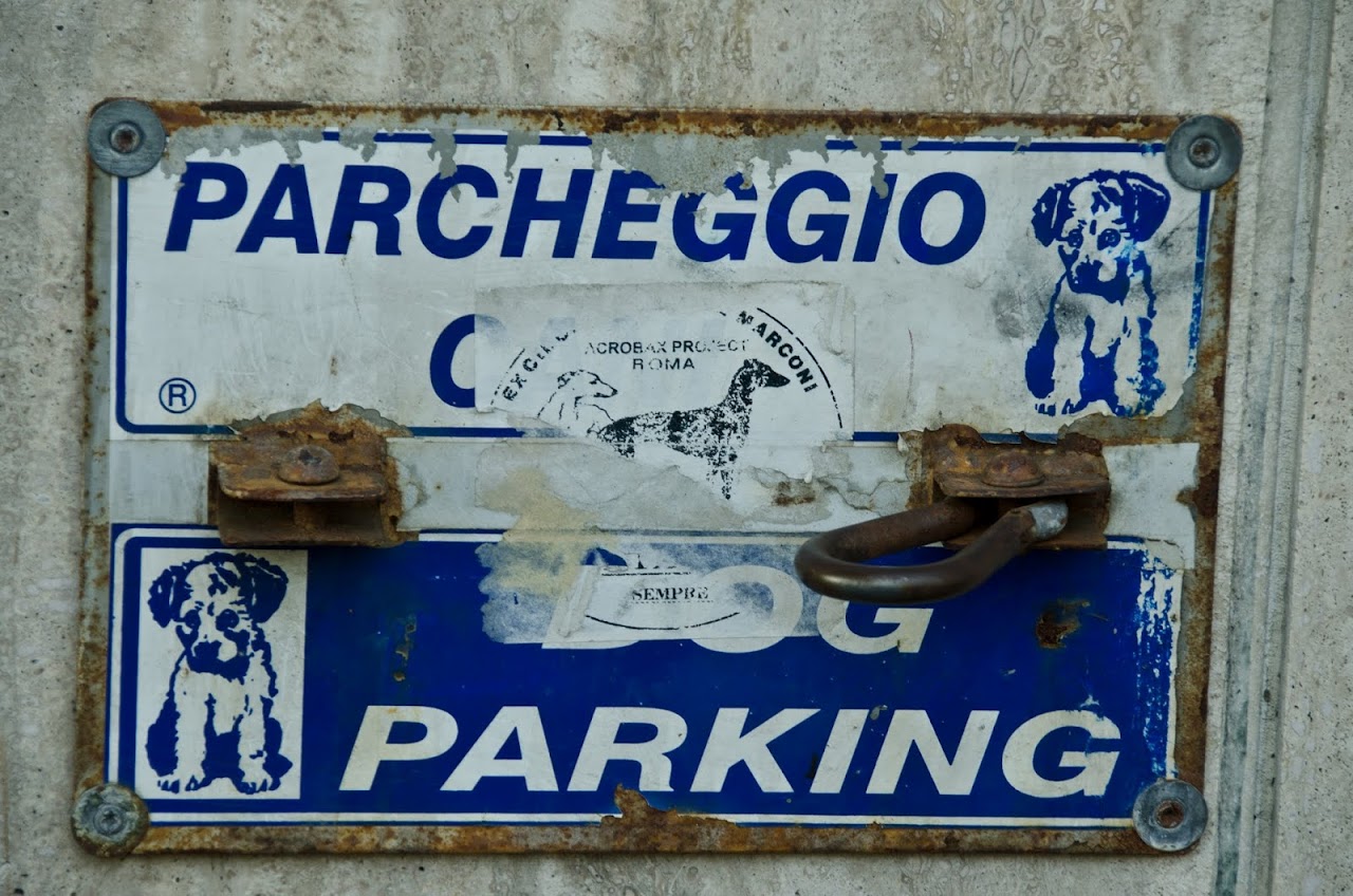 Dog parking