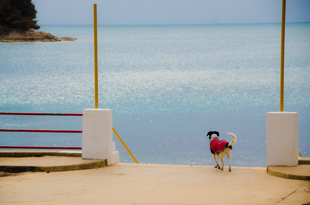 Abby at the Adriatic Sea