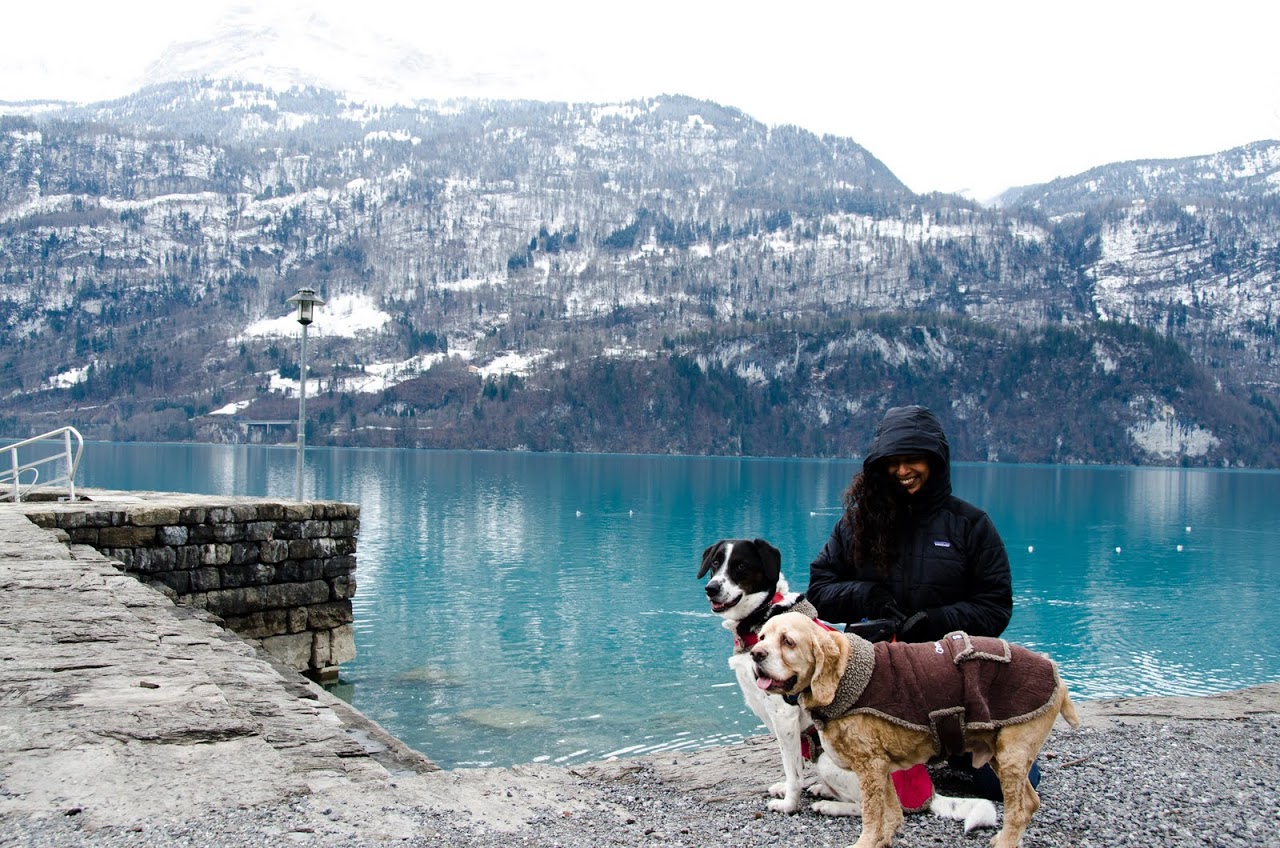 Chewy and Abby in Switzerland