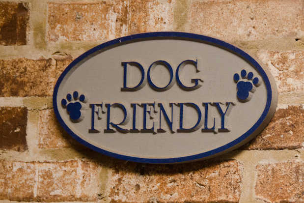"Dog friendly" sign at Bistro 13